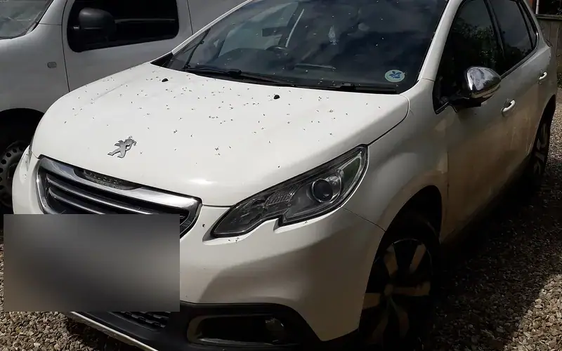Peugeot 2008 I (2013-2016)