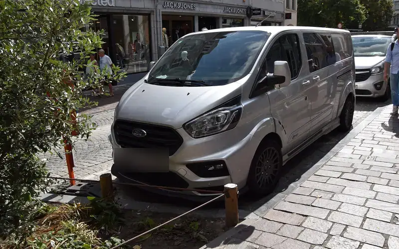 Ford Tourneo Custom 1 Facelift (2018-2023)